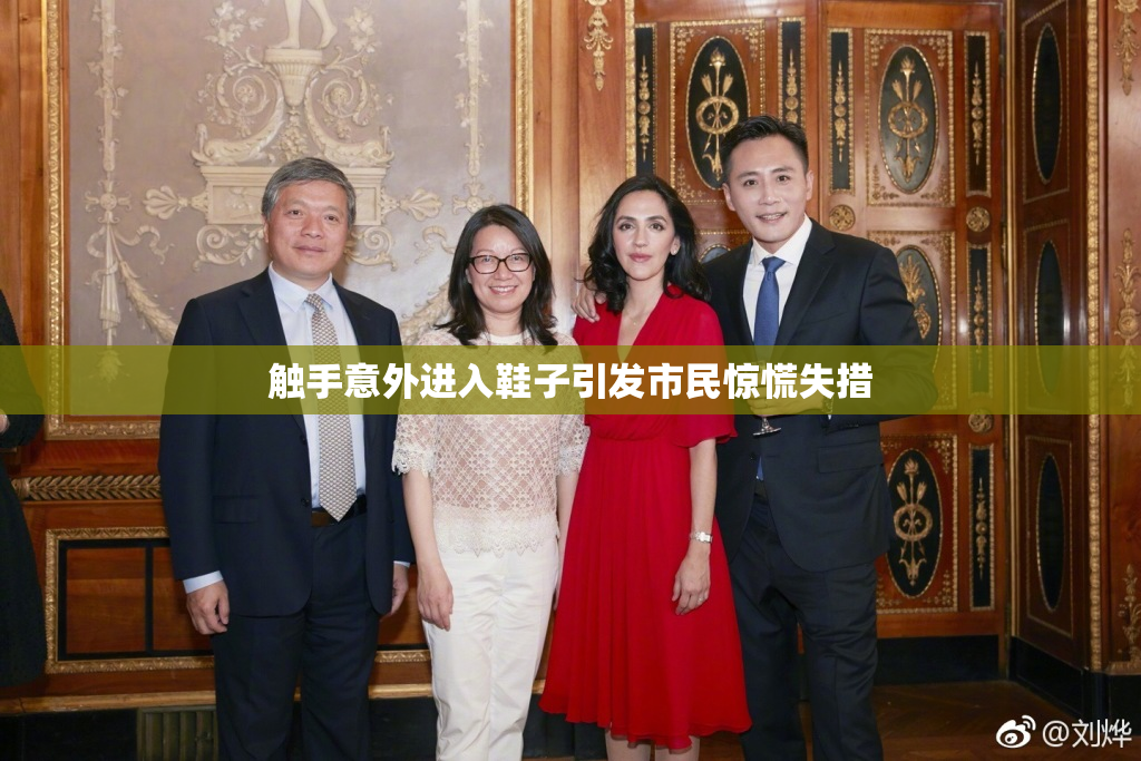 触手意外进入鞋子引发市民惊慌失措