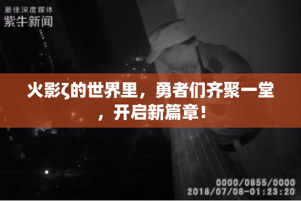 火影ζ的世界里，勇者们齐聚一堂，开启新篇章！