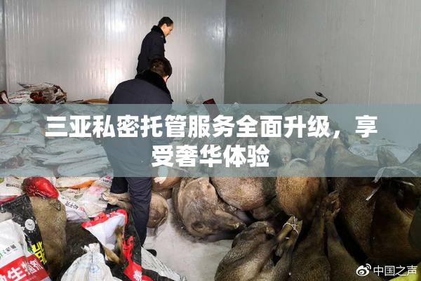 三亚私密托管服务全面升级，享受奢华体验