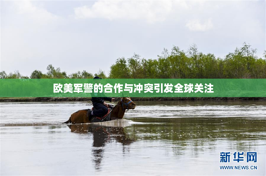 欧美军警的合作与冲突引发全球关注