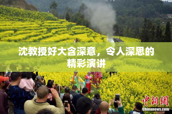 沈教授好大含深意，令人深思的精彩演讲
