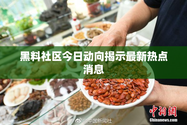 黑料社区今日动向揭示最新热点消息