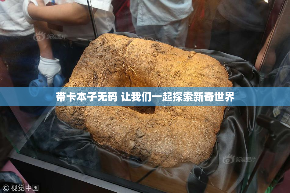 带卡本子无码 让我们一起探索新奇世界