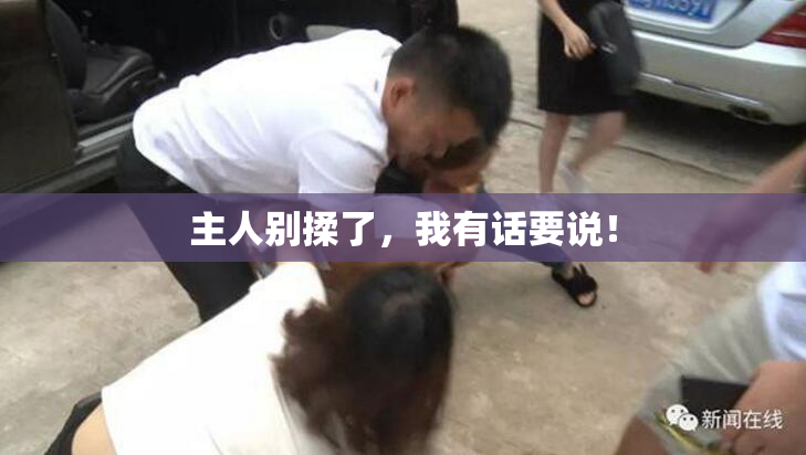 主人别揉了，我有话要说！