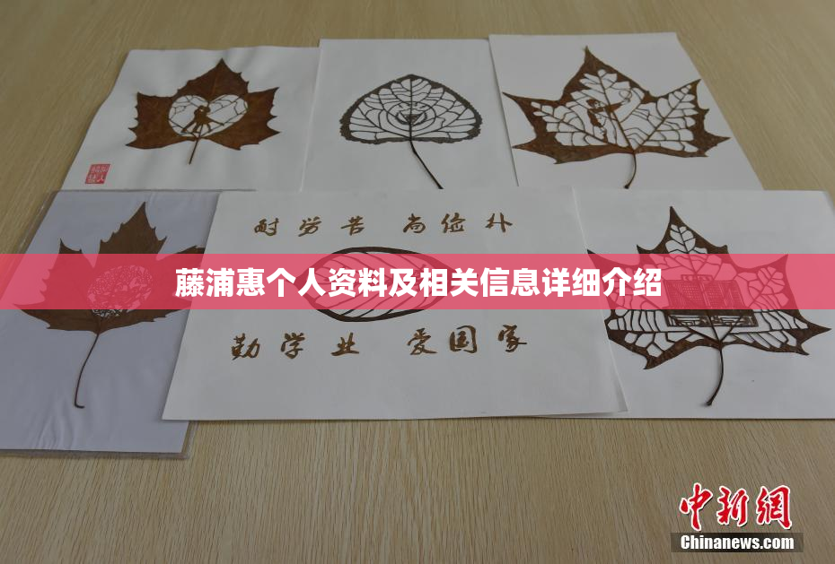藤浦惠个人资料及相关信息详细介绍