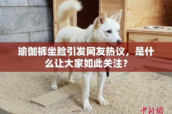 瑜伽裤坐脸引发网友热议，是什么让大家如此关注？