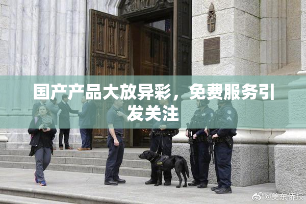 国产产品大放异彩，免费服务引发关注