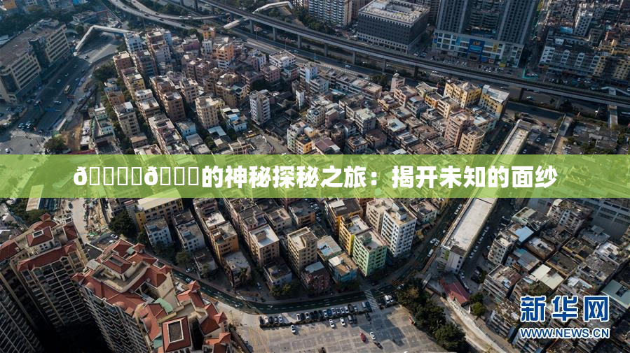 🔞‌🍌的神秘探秘之旅：揭开未知的面纱