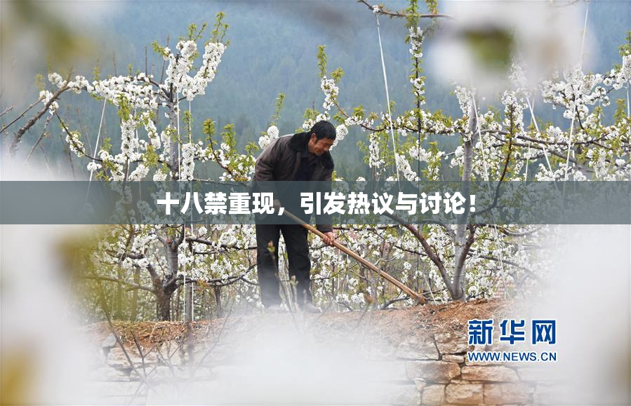 十八禁重现，引发热议与讨论！