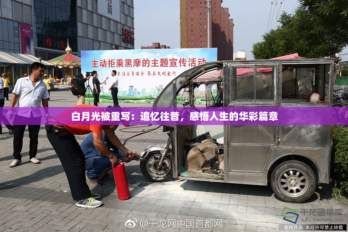 白月光被重写：追忆往昔，感悟人生的华彩篇章