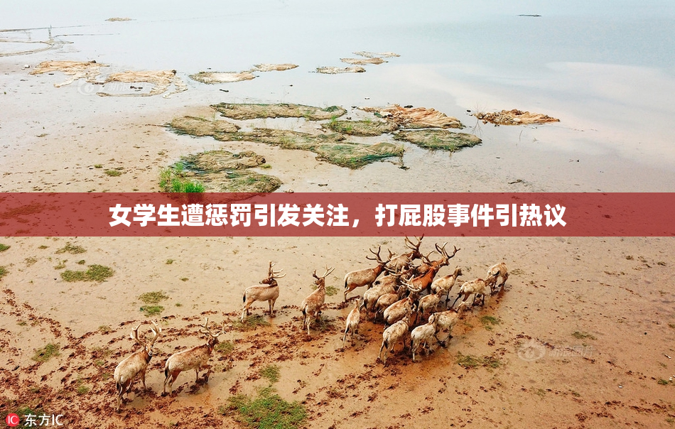 女学生遭惩罚引发关注，打屁股事件引热议