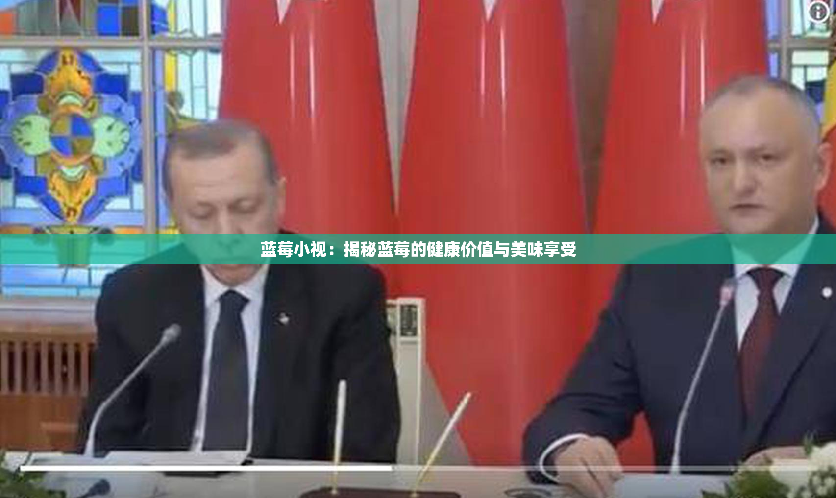 蓝莓小视：揭秘蓝莓的健康价值与美味享受