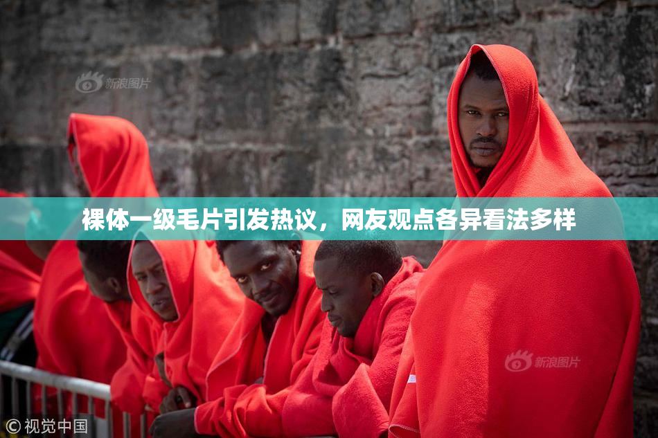 裸体一级毛片引发热议，网友观点各异看法多样
