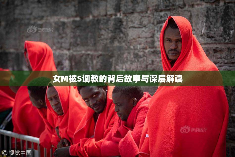 女M被S调教的背后故事与深层解读