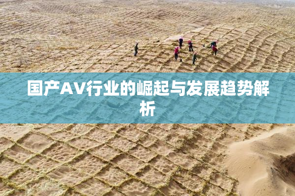 国产AV行业的崛起与发展趋势解析
