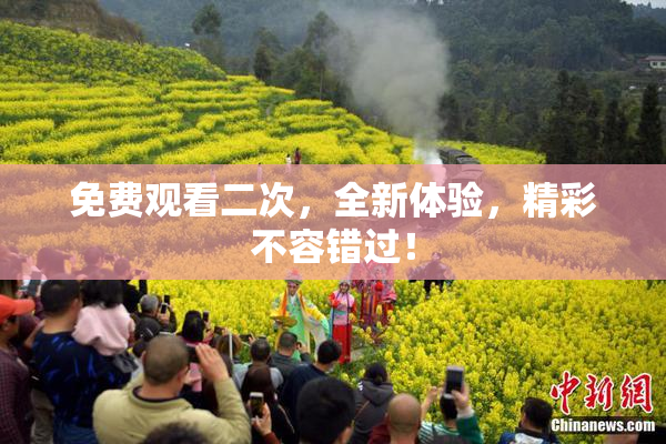 免费观看二次，全新体验，精彩不容错过！