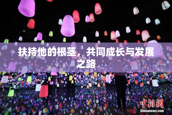 扶持他的根茎，共同成长与发展之路