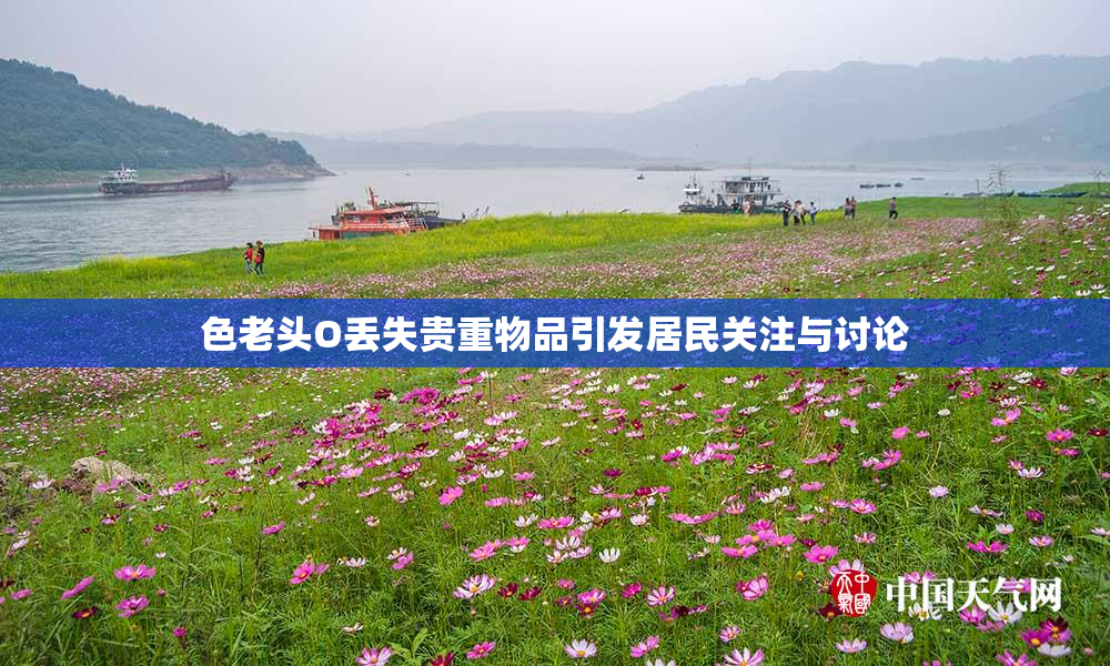色老头O丢失贵重物品引发居民关注与讨论