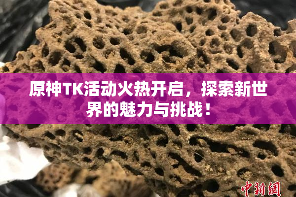 原神TK活动火热开启，探索新世界的魅力与挑战！