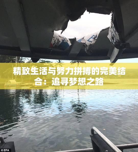 精致生活与努力拼搏的完美结合：追寻梦想之路