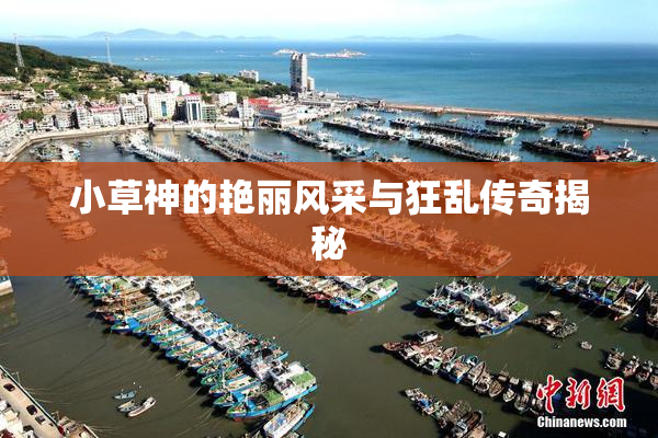 小草神的艳丽风采与狂乱传奇揭秘