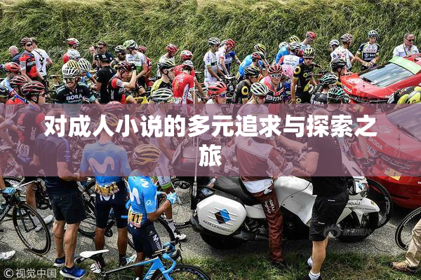 对成人小说的多元追求与探索之旅