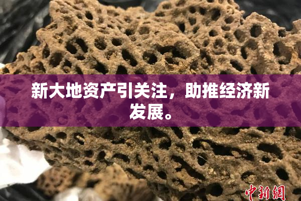 新大地资产引关注，助推经济新发展。
