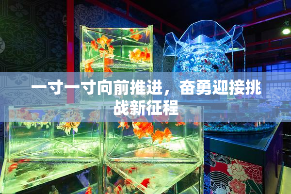 一寸一寸向前推进，奋勇迎接挑战新征程