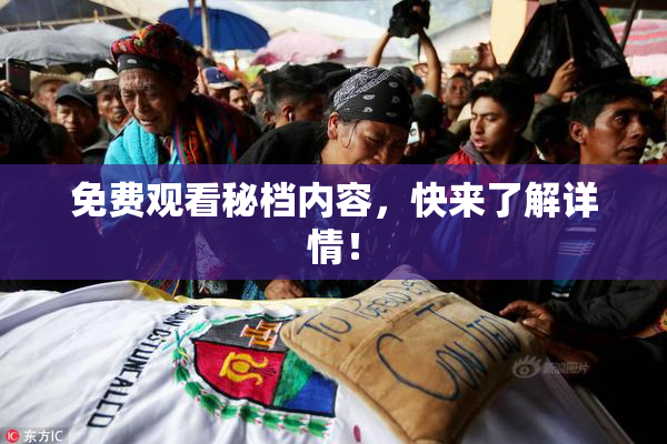 免费观看秘档内容，快来了解详情！
