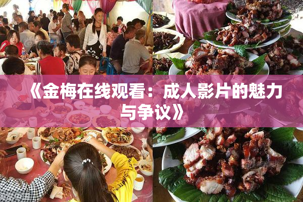 《金梅在线观看：成人影片的魅力与争议》
