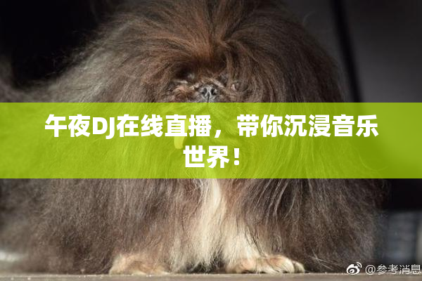 午夜DJ在线直播，带你沉浸音乐世界！