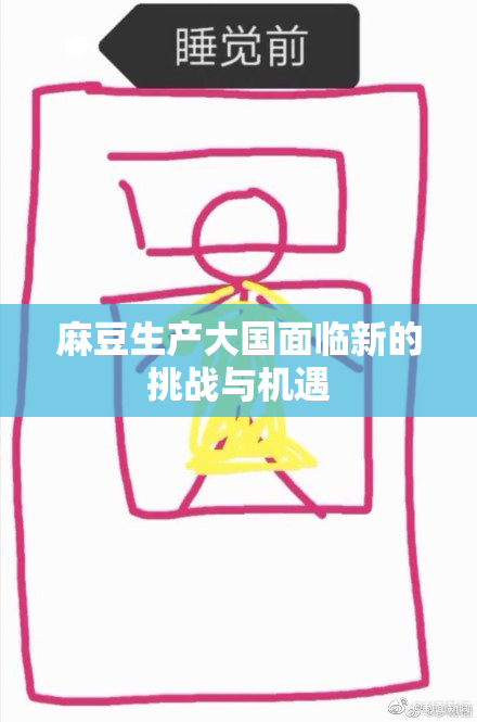 麻豆生产大国面临新的挑战与机遇