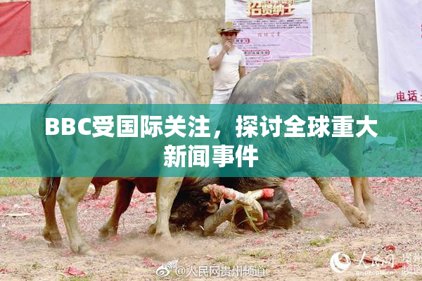 BBC受国际关注，探讨全球重大新闻事件