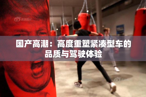 国产高潮：高度重塑紧凑型车的品质与驾驶体验
