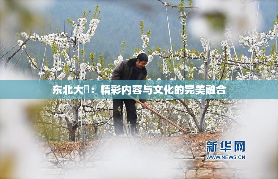 东北大鷄：精彩内容与文化的完美融合