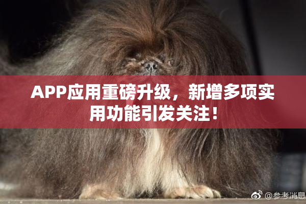 APP应用重磅升级，新增多项实用功能引发关注！