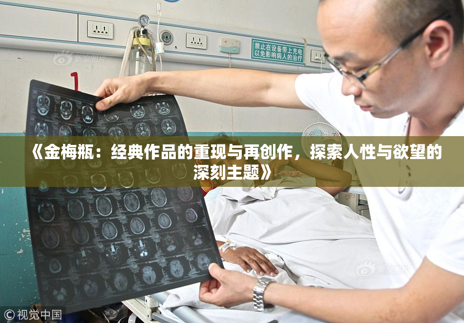 《金梅瓶：经典作品的重现与再创作，探索人性与欲望的深刻主题》