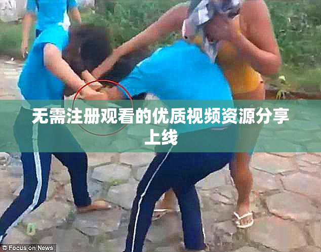 无需注册观看的优质视频资源分享上线