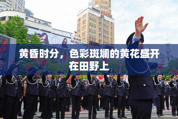 黄昏时分，色彩斑斓的黄花盛开在田野上