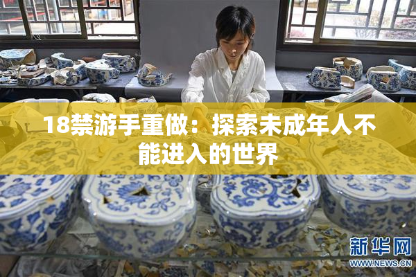 18禁游手重做：探索未成年人不能进入的世界