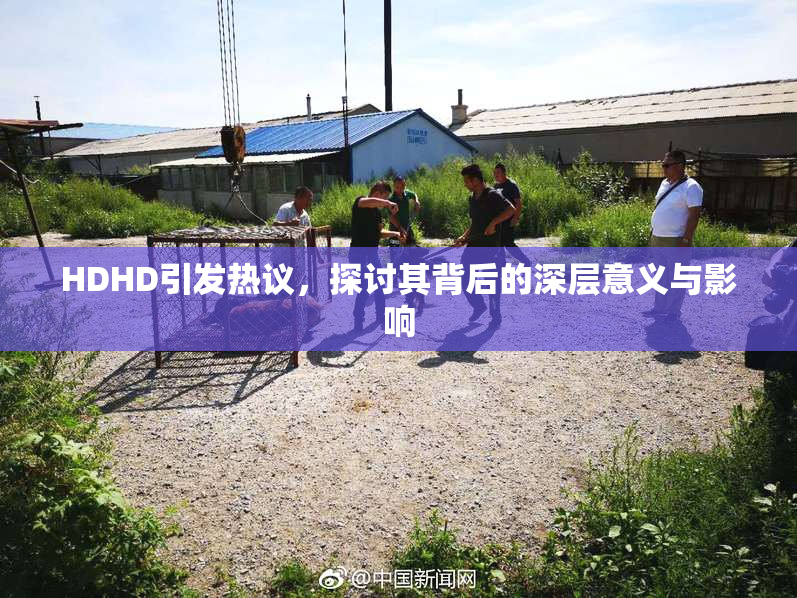 HDHD引发热议，探讨其背后的深层意义与影响