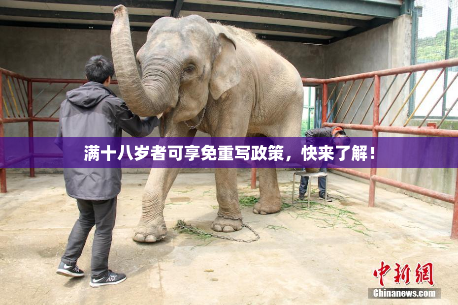 满十八岁者可享免重写政策，快来了解！