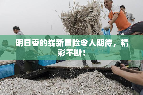 明日香的崭新冒险令人期待，精彩不断！