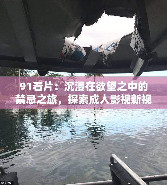 91看片：沉浸在欲望之中的禁忌之旅，探索成人影视新视角