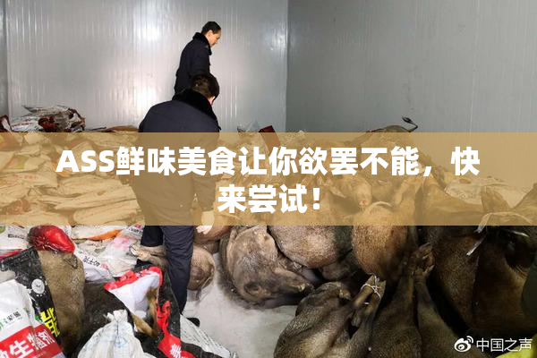 ASS鲜味美食让你欲罢不能，快来尝试！