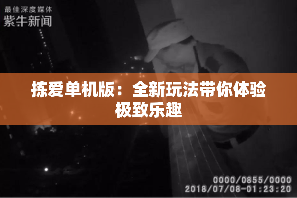 拣爱单机版：全新玩法带你体验极致乐趣