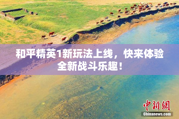 和平精英1新玩法上线，快来体验全新战斗乐趣！