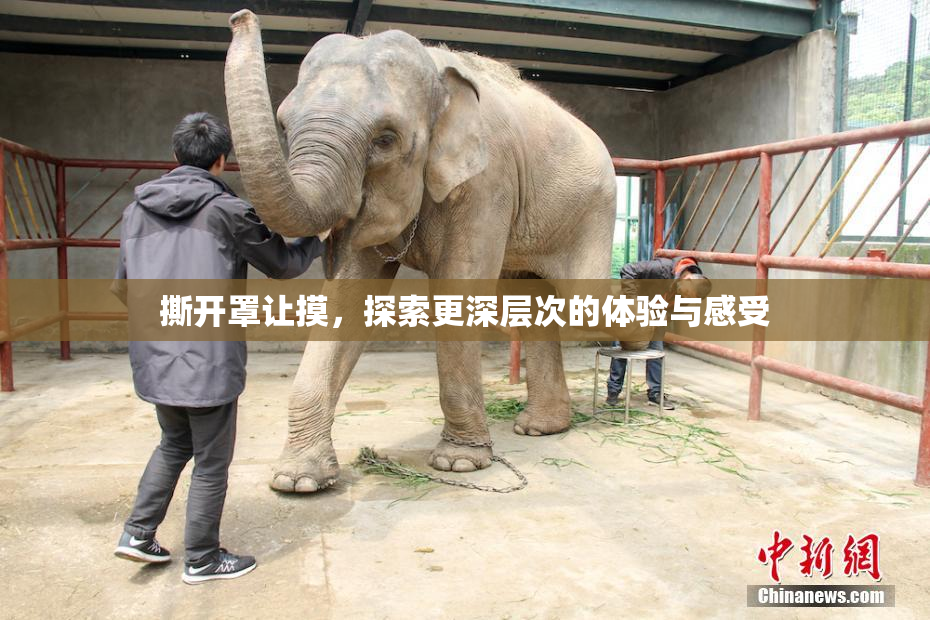 撕开罩让摸，探索更深层次的体验与感受