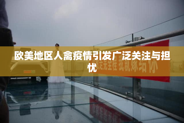 欧美地区人禽疫情引发广泛关注与担忧