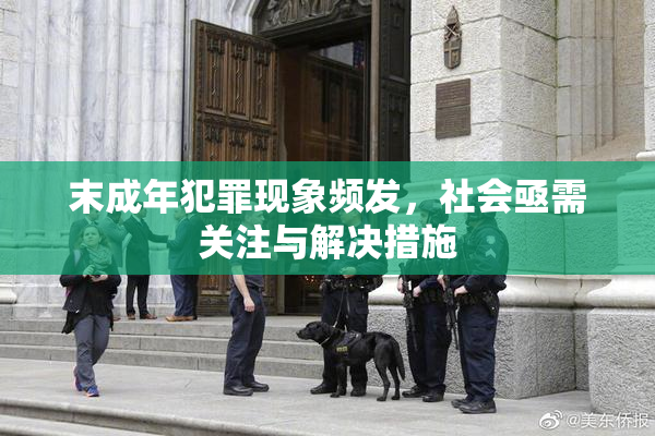 末成年犯罪现象频发，社会亟需关注与解决措施